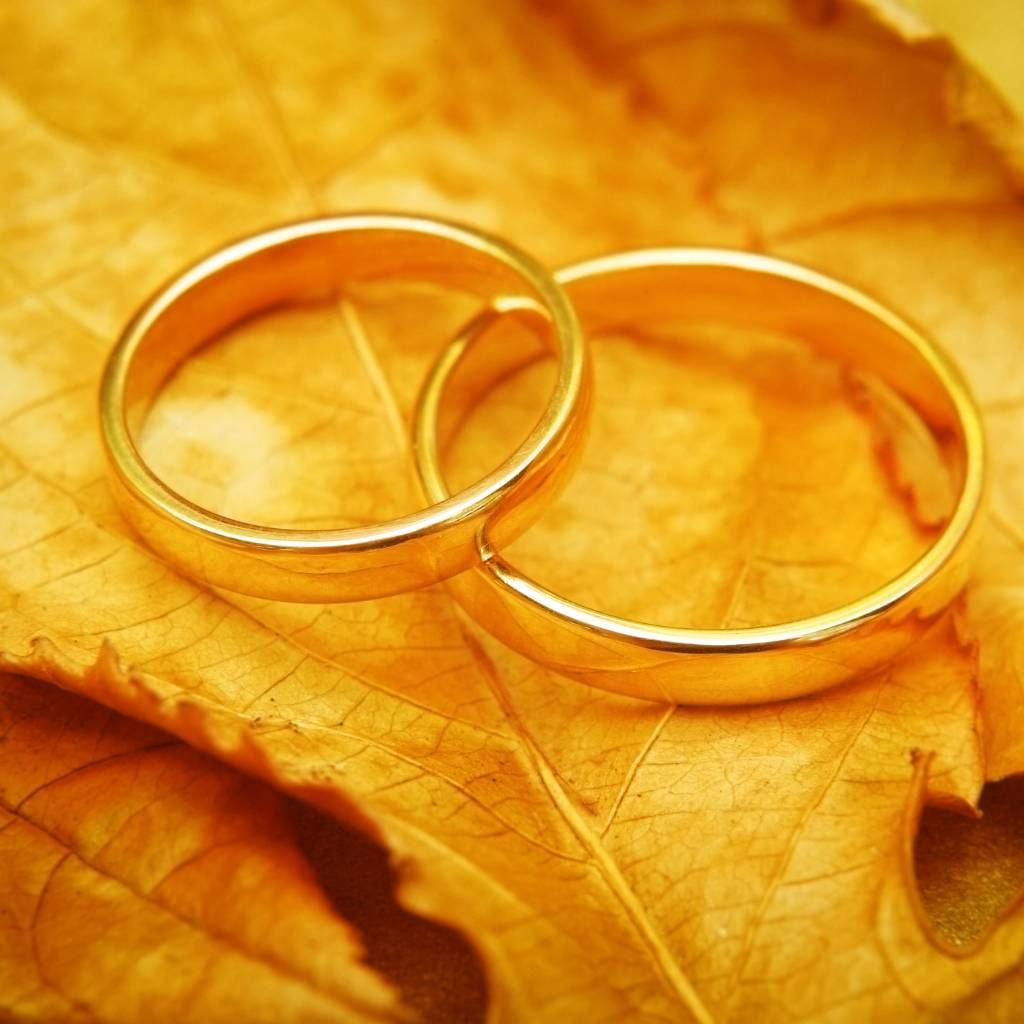 anillos de boda en hojas de otoño